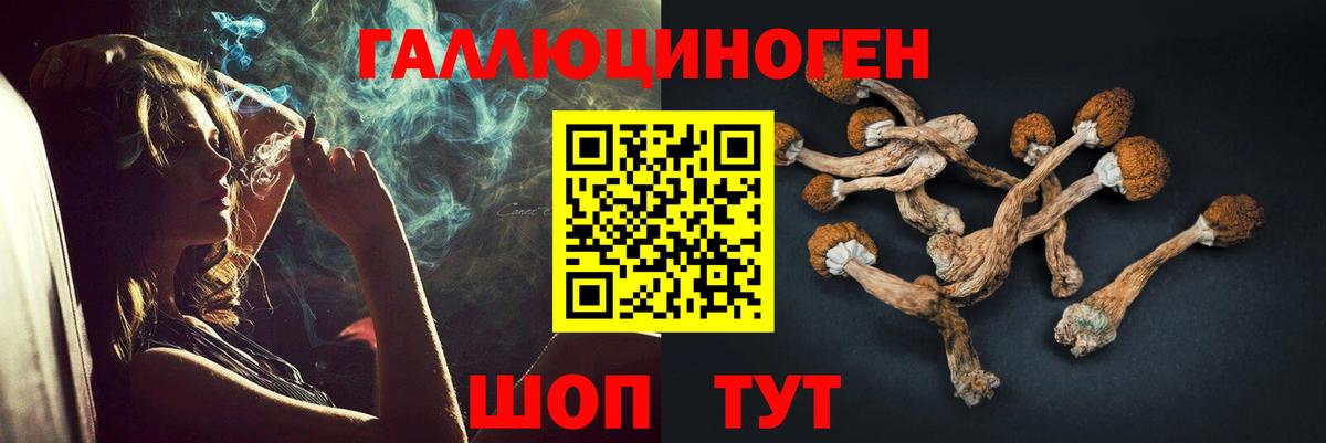 Воронеж  Псилоцибиновые грибы прущие грибы  Вход с VPN 